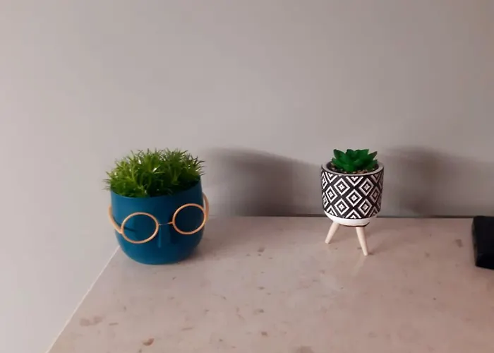 Edea Flat 公寓 地拉那